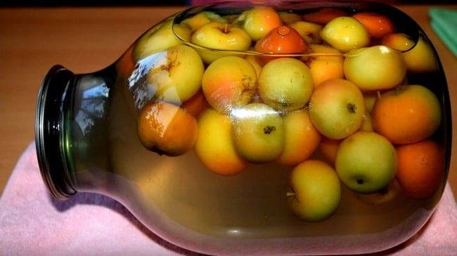19 простых рецептов приготовления компота из черноплодной рябины на зиму