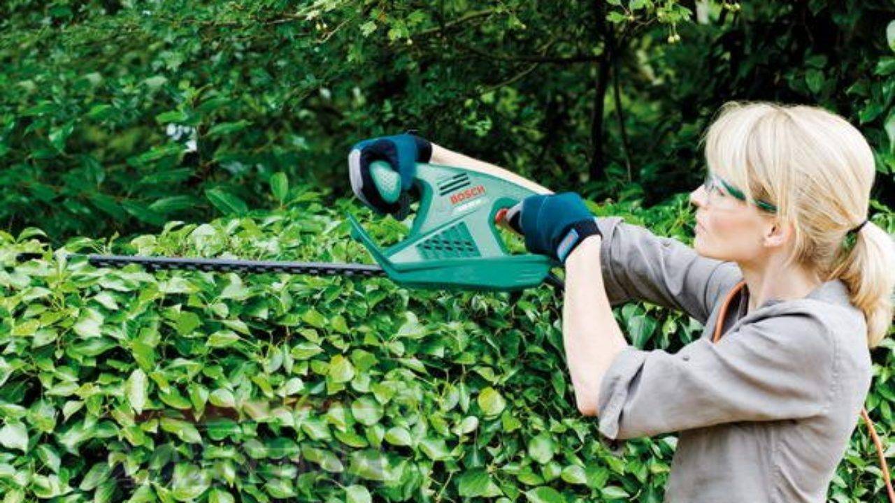 Садовые ножницы – как сделать сад ухоженным и красивым