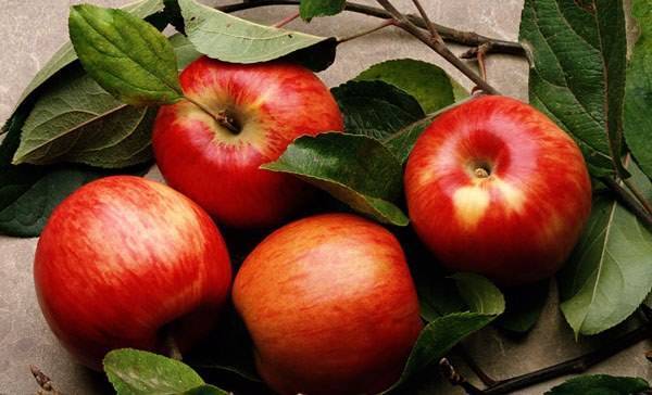 Какие витамины содержатся в яблоках