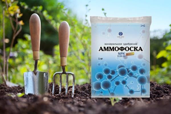 Когда необходимо использовать удобрение аммофоска и для каких растений?