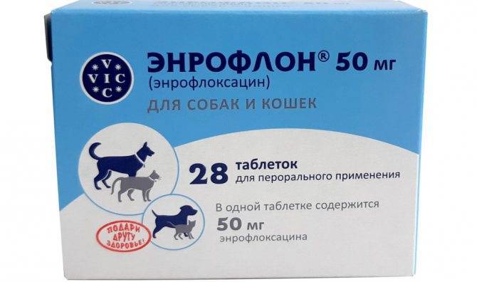 Инструкция по применению энрофлоксацина собакам. рассчитайте оптимальную дозу препарата (enrofloxacinum). изучите широту антибактериального эффекта энрофлоксацина для собак. улучшите эффективность терапии на 200%