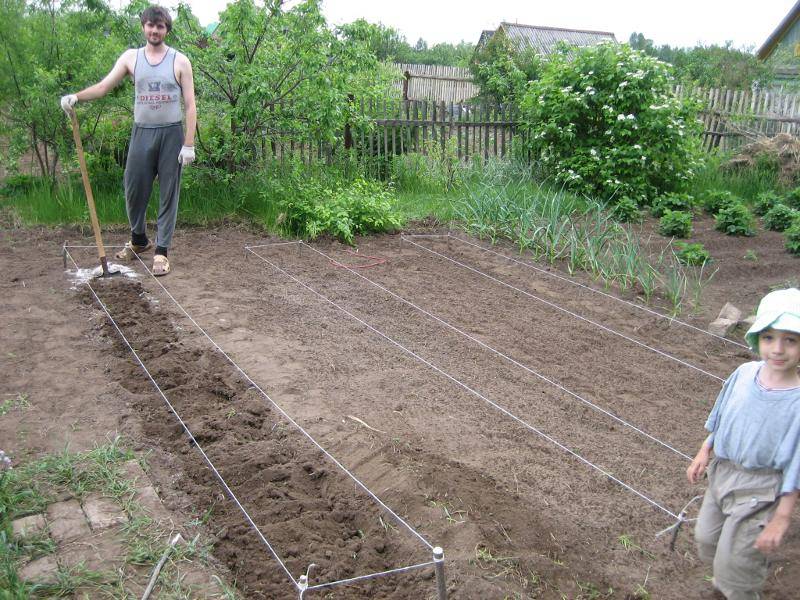 Метод митлайдера: семейное овощеводство на малых площадях