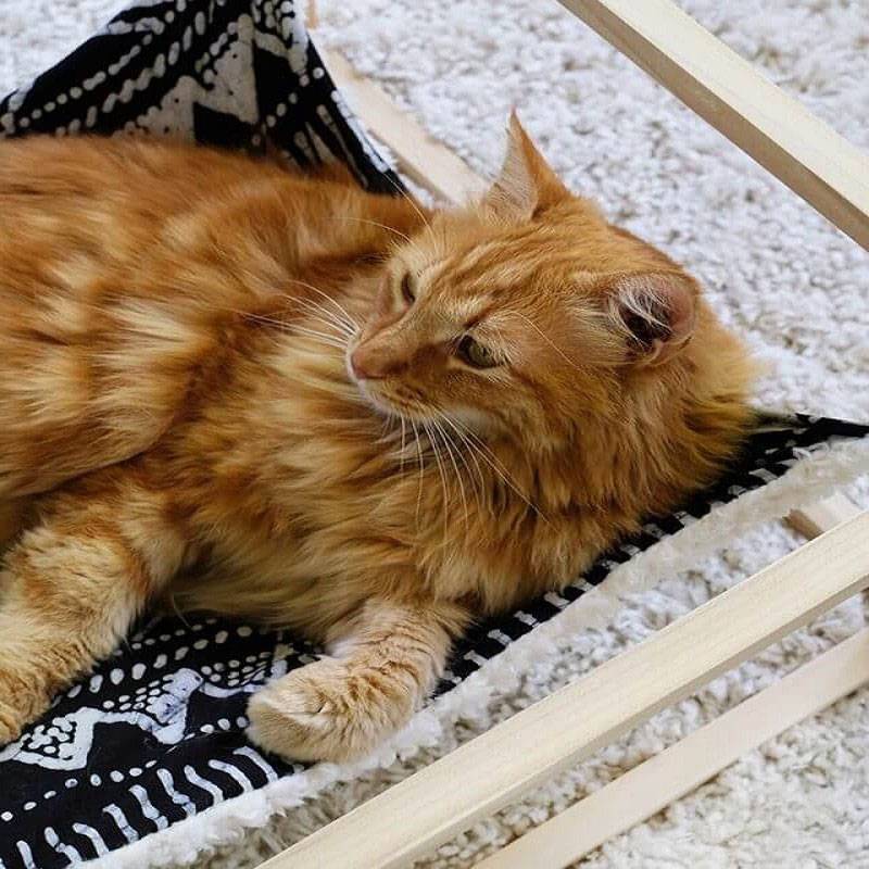 Как сделать удобную лежанку для кошки своими руками