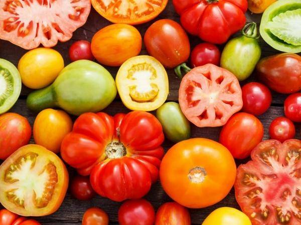 Выращиваем томаты без рассады — сорта, преимущества и недостатки метода