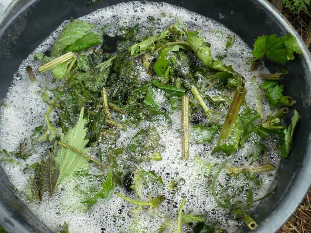Удобрение из травы и сорняков: как сделать жидкую подкормку в бочке