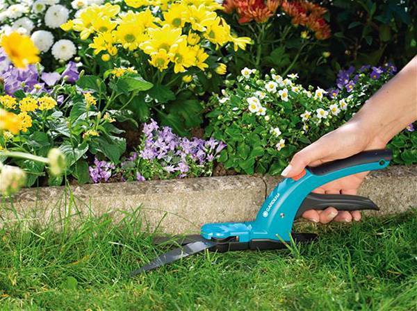Ножницы садовые – рекомендации экспертов как выбрать инструмент с лучшими характеристиками