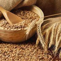 Как сварить пшеничную кашу в мультиварке — 4 рецепта приготовления