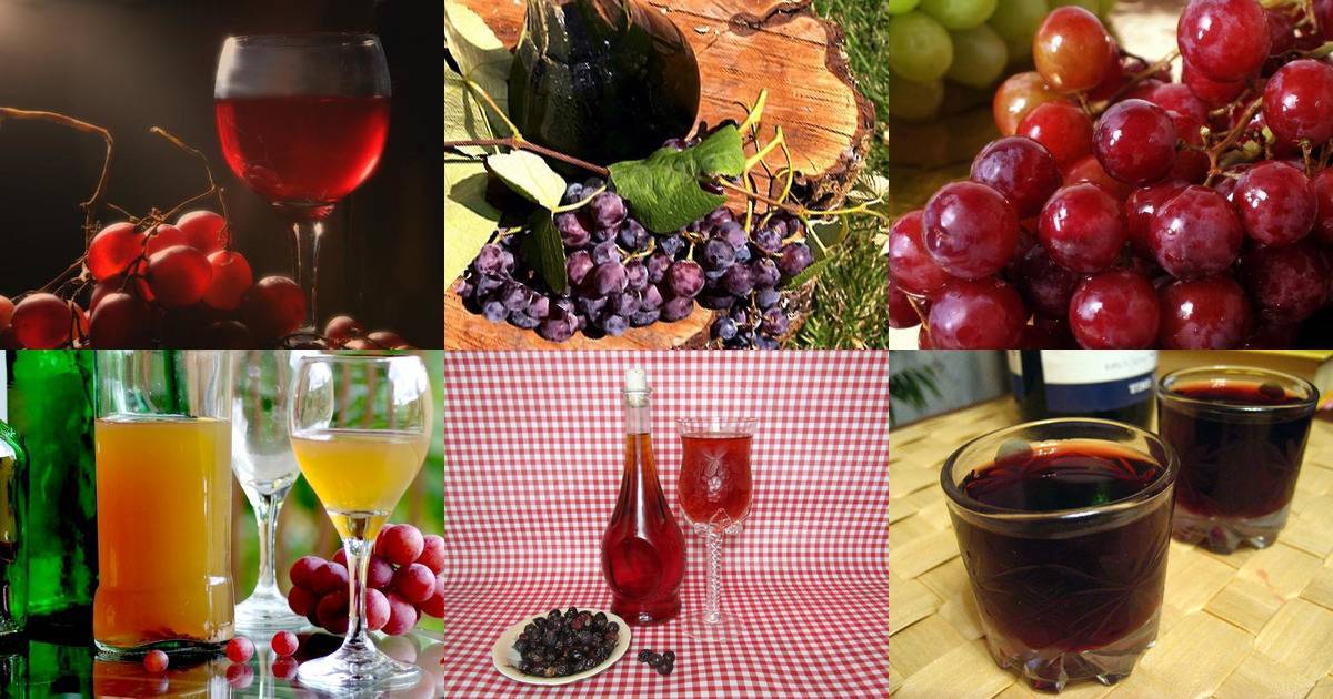 Домашнее вино из винограда изабелла — простой рецепт