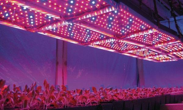 Светильники для подсветки растений