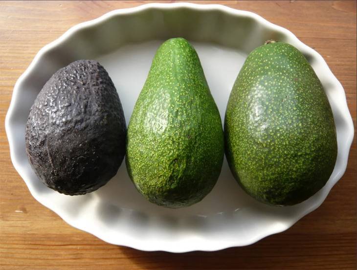 Как дозревает авокадо в домашних условиях: советы и условия хранения