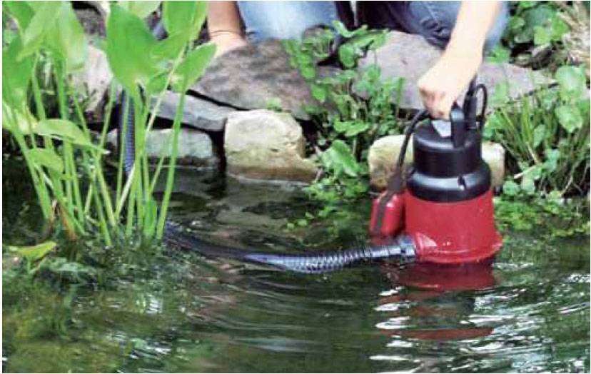 Водяные насосы для полива огорода: особенности выбора агрегата, типы насосов и ориентировочная стоимость