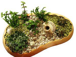 Как самостоятельно создать миниатюрный сад?