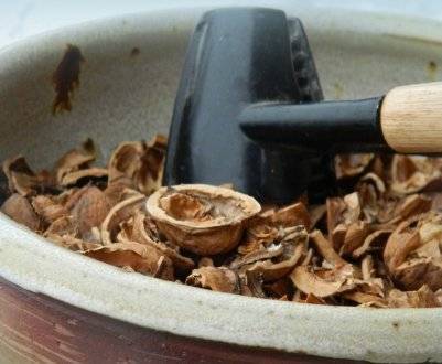 Скорлупа грецкого ореха: состав, полезные свойства и противопоказания