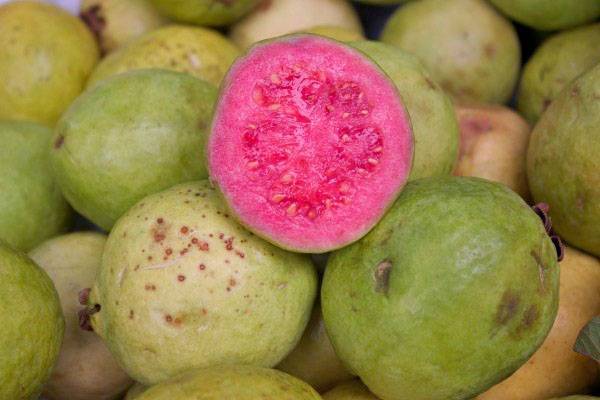 Что такое гуава и какие полезные свойства фрукта?