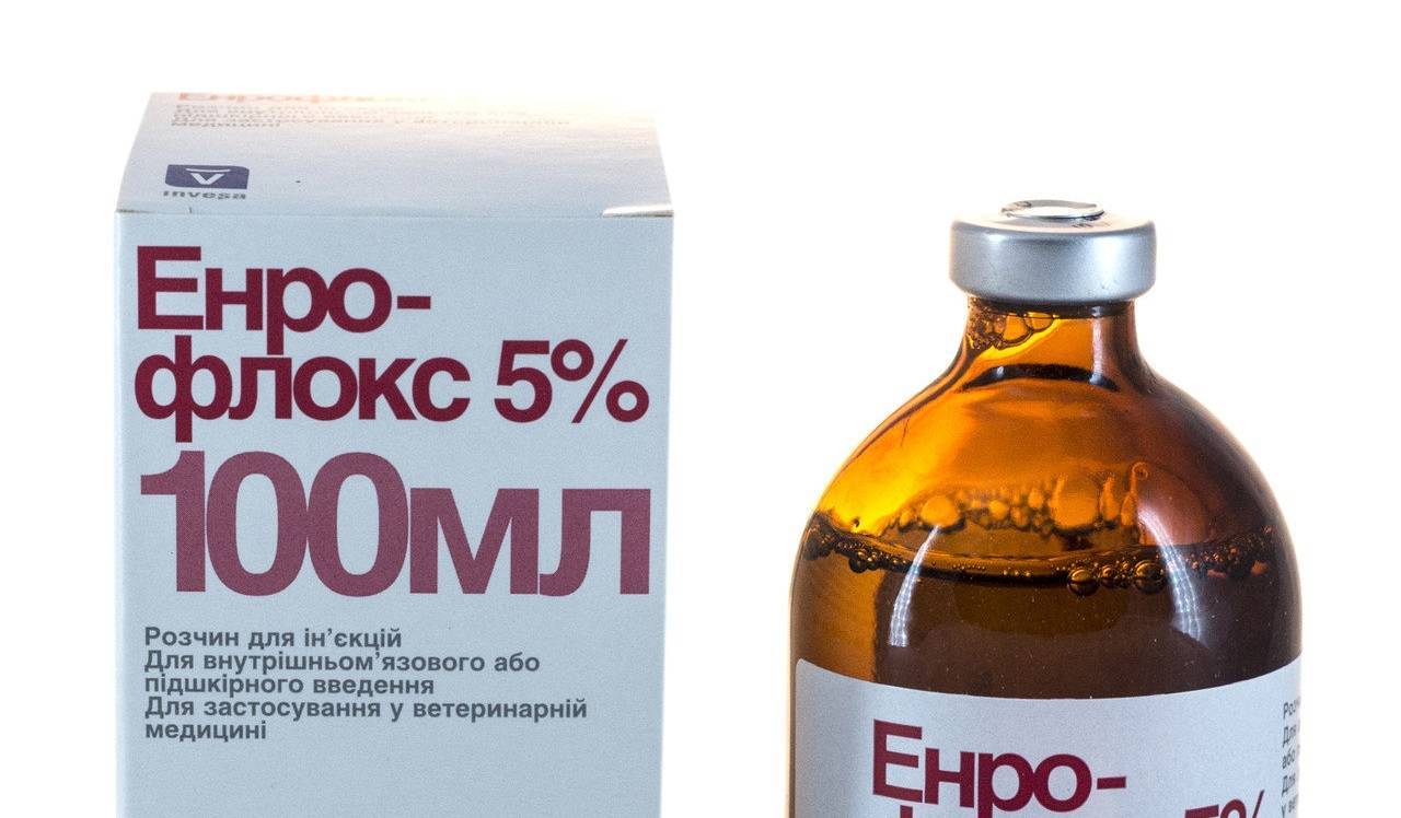 Энрофлоксацин 100 порошок инструкция по применению