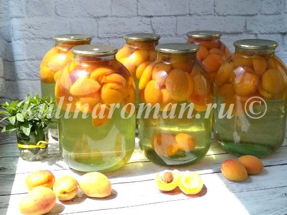 Фанта из абрикосов и апельсинов на зиму: топ 6 рецептов приготовления компота