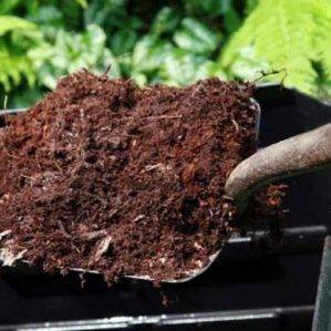 Когда вносить навоз в почву – весной или осенью, чтобы успел разложиться и не повредил корни