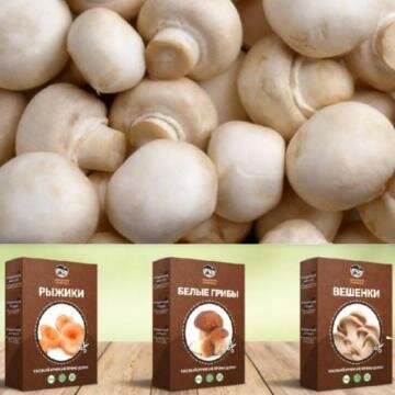 Семена белых грибов из китая, цена, видео