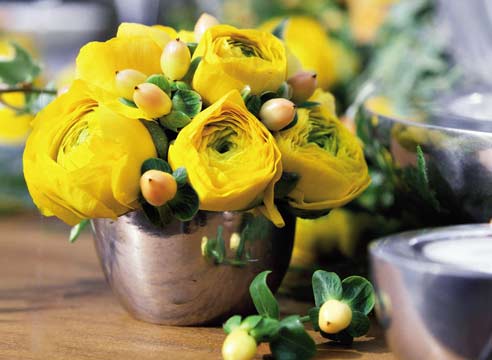 Ранункулюс цветы — выращивание в домашних условиях