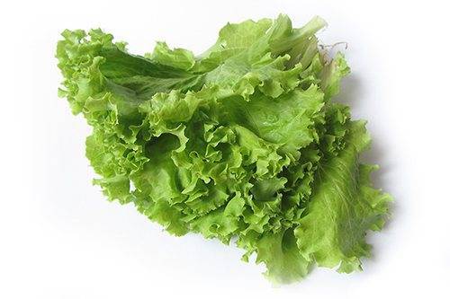 Листья салата: польза и вред для здоровья человека