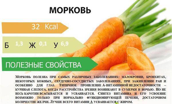 Морковь – польза или вред для вашего организма, состав, калорийность