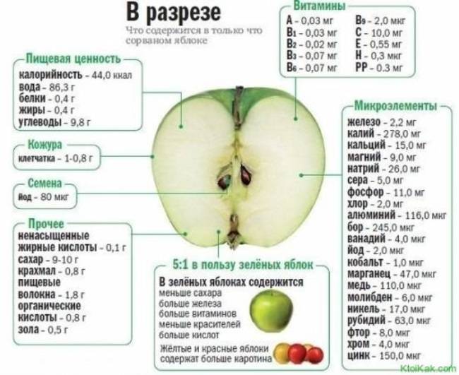 Полезны ли моченые яблоки