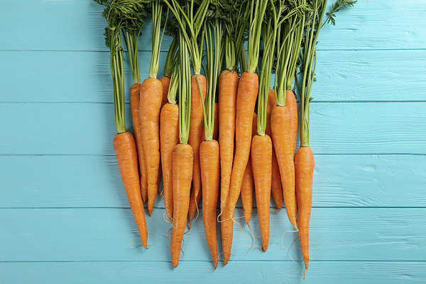 История появления моркови