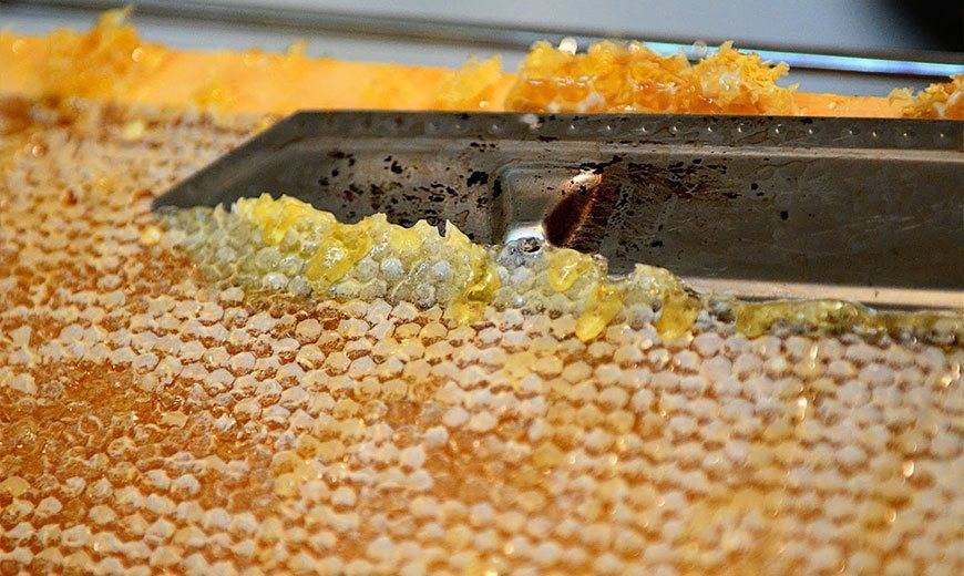 Лечение продуктами пчеловодства: пергой, пыльцой и маточным молочком