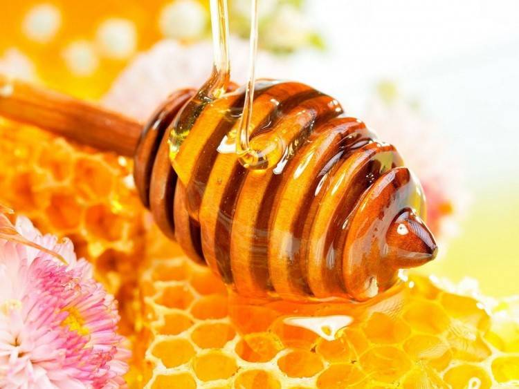 Какой мед самый ценный и полезный?