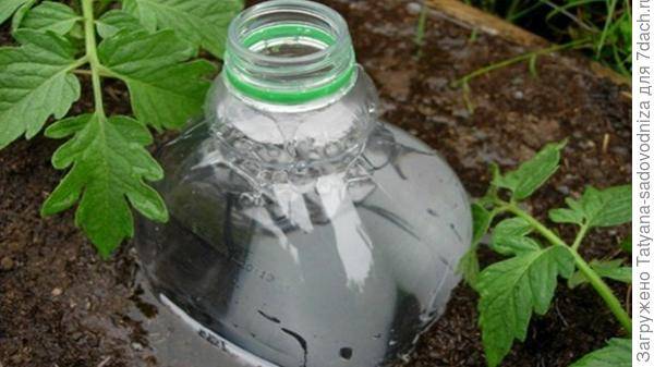 Лучшие идеи, как использовать пластиковые бутылки на даче