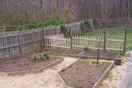 Работы в саду и огороде весной