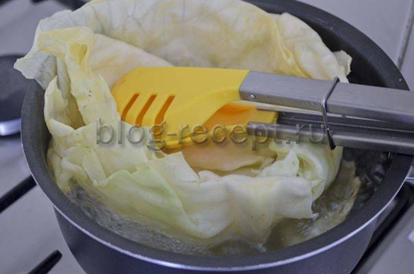Голубцы из свежей капусты: вкусные рецепты с пошаговым фото