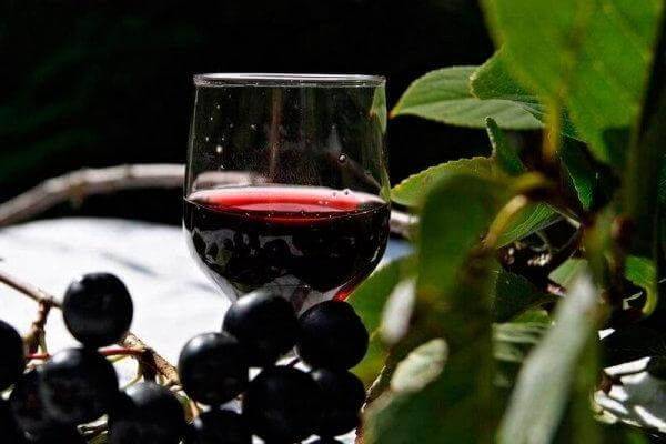 Вино из рябины черноплодной в домашних условиях - 5 простых рецептов с фото пошагово