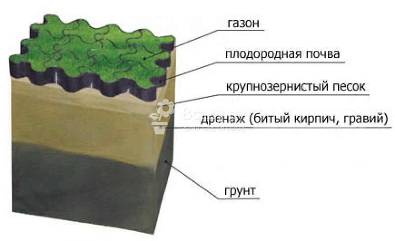 Укладка рулонного газона своими руками: тонкости и рекомендации