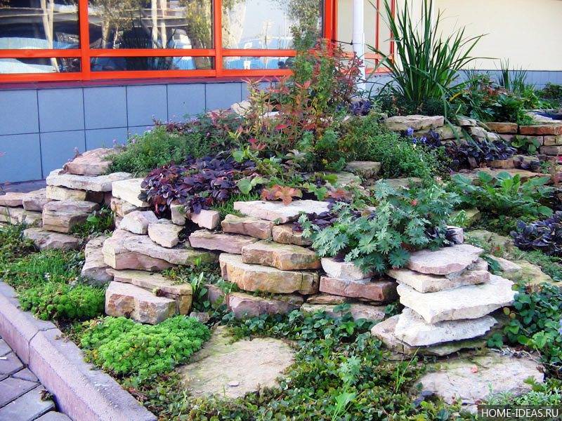 Рокарий – пошаговая инструкция как создать каменистый сад в ландшафтном дизайне своими руками