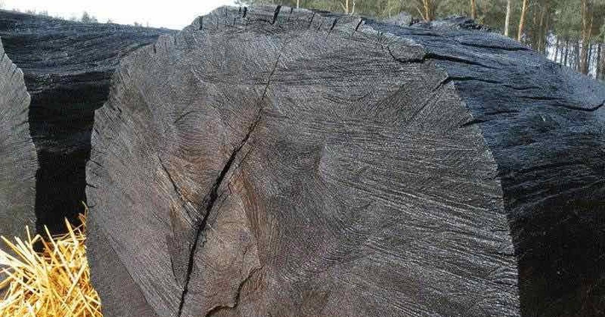 Самые ценные породы древесины в мире. ценные породы дерева. эбеновое дерево - множество сортов ценной древесины