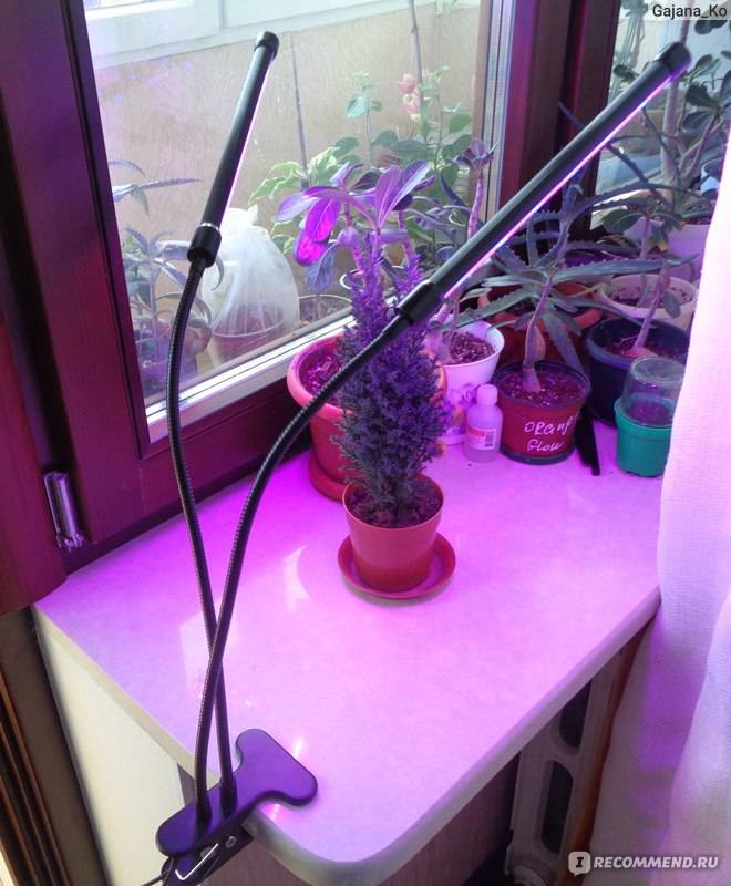 Лампа для роста растений из китая с алиэкспресс (обзор)