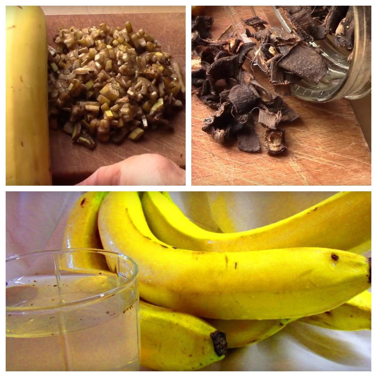 Удобрения из банановой кожуры для комнатных растений – инструкция по применению