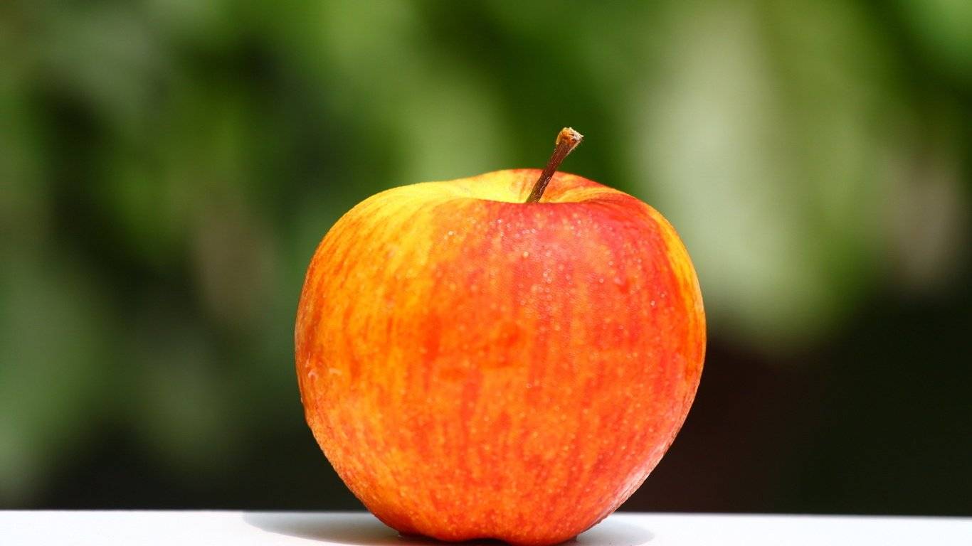 Высокую урожайность и отличную лёжкость демонстрирует сорт яблонь грушовка зимняя