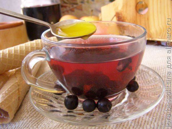 Черноплодная рябина на зиму - 5 рецептов приготовления с фото пошагово