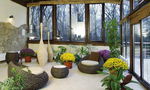 26 самых полезных комнатных растений для дома