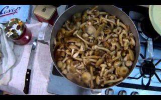 Как правильно готовить сушеные грибы