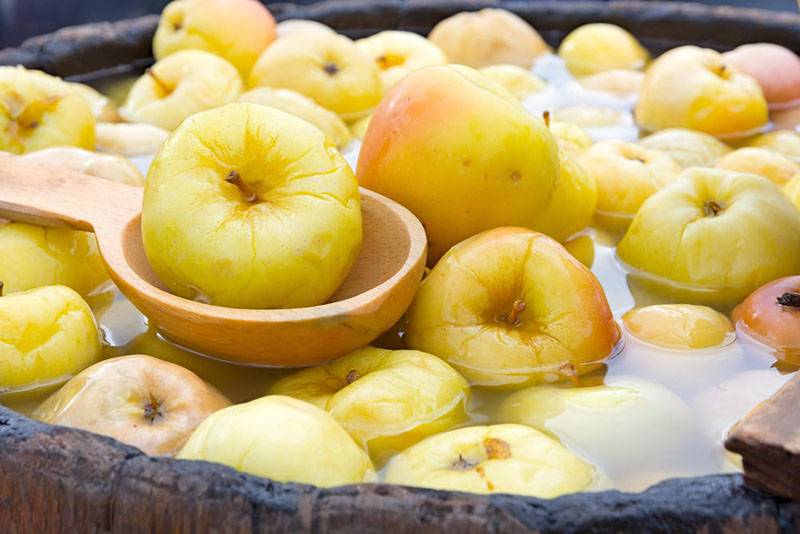 Рецепт моченых яблок в домашних условиях с медом, горчицей