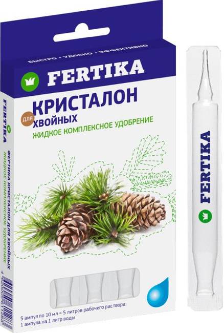 Удобрения для ели: виды и тонкости внесения
