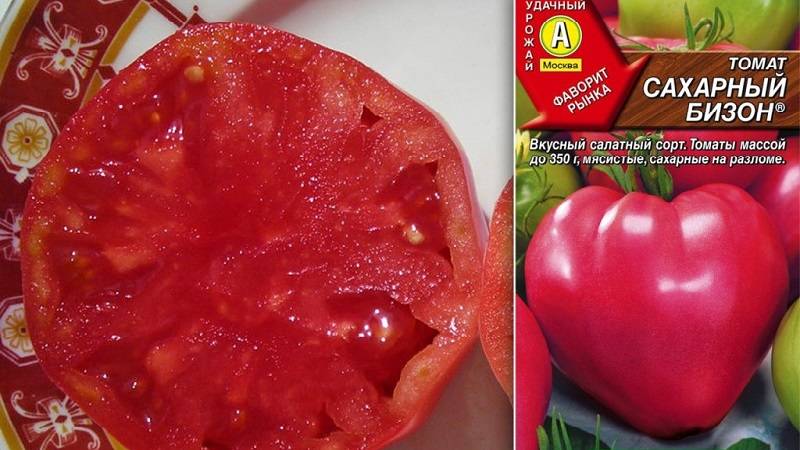 Лучшие производители семян овощей в россии, фирмы, которым можно доверять