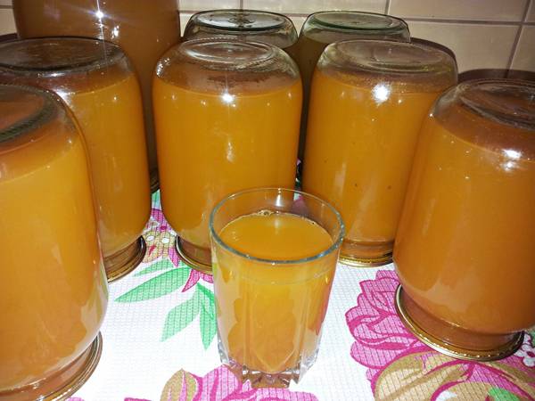 Яблочный сок в домашних условиях. рецепты на зиму, через соковыжималку, соковарку, мясорубку, с мякотью, морковью, тыквой, апельсином