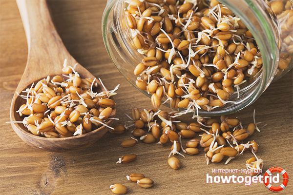 Как употреблять пророщенную пшеницу, польза и вред