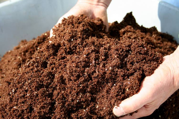 Подготовка почвы и формирование грядок для клубники весной