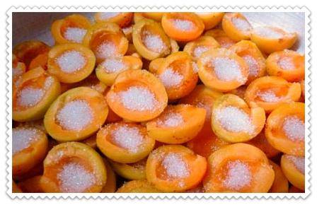 Варенье из абрикосов на зиму — рецепты как приготовить абрикосовое варенье