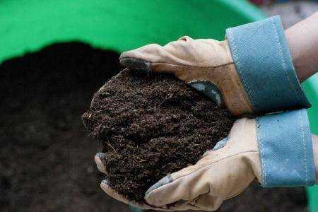 Обеззараживание почвы: основные методы дезинфекции